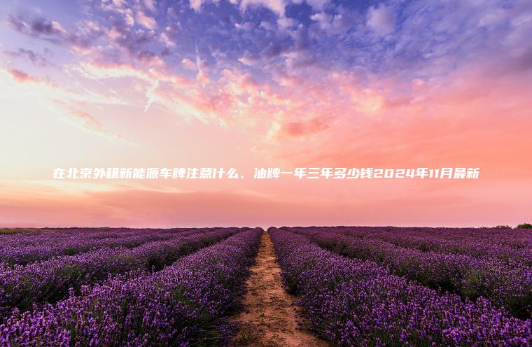 在北京外租新能源车牌注意什么、油牌一年三年多少钱2024年11月最新 在北京外租新能源车牌注意什么、油牌一年三年多少钱2024年11月最新