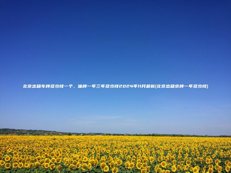北京出租车牌多少钱一个、油牌一年三年多少钱2024年11月最新(北京出租京牌一年多少钱) 北京出租车牌多少钱一个、油牌一年三年多少钱2024年11月最新(北京出租京牌一年多少钱)