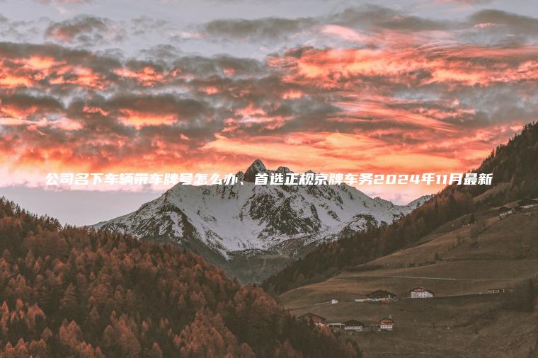 公司名下车辆带车牌号怎么办、首选正规京牌车务2024年11月最新 公司名下车辆带车牌号怎么办、首选正规京牌车务2024年11月最新