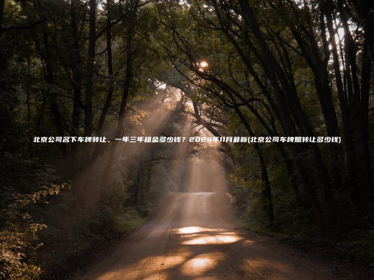 北京公司名下车牌转让、一年三年租金多少钱?2024年11月最新(北京公司车牌照转让多少钱) 北京公司名下车牌转让、一年三年租金多少钱?2024年11月最新(北京公司车牌照转让多少钱)