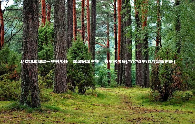 北京租车牌号一年多少钱、车牌出租三年、五年多少钱(2024年10月最新更新) 北京租车牌号一年多少钱、车牌出租三年、五年多少钱(2024年10月最新更新)
