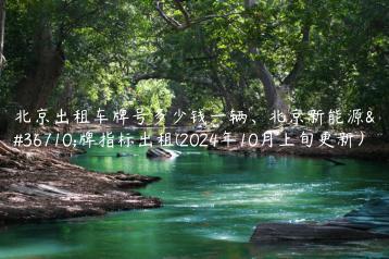 北京出租车牌号多少钱一辆北京新能源车牌指标出租2024年10月上旬更新