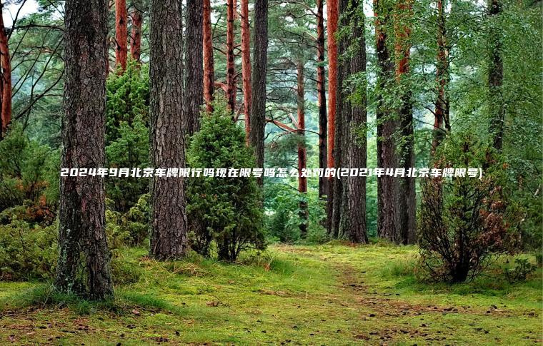 2024年9月北京车牌限行吗现在限号吗怎么处罚的(2021年4月北京车牌限号) 2024年9月北京车牌限行吗现在限号吗怎么处罚的(2021年4月北京车牌限号)