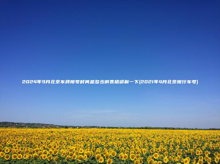2024年9月北京车 口袋车务 2024年9月北京车牌限号时间是多少啊表格讲解一下2021年4月北京限行车号