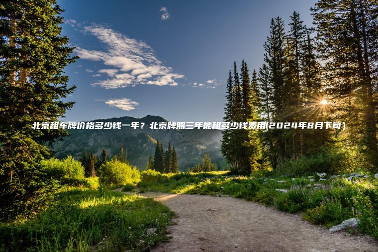 北京租车牌价格多少钱一年?北京牌照三年能租多少钱费用(2024年8月下旬) 北京租车牌价格多少钱一年?北京牌照三年能租多少钱费用(2024年8月下旬)
