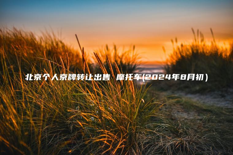 北京个人京牌转让出售 摩托车(2024年8月初) 北京个人京牌转让出售 摩托车(2024年8月初)