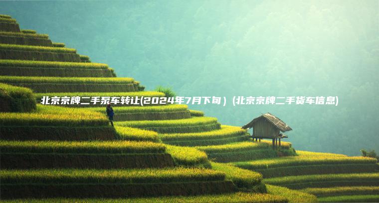 北京京牌二手泵车转让(2024年7月下旬)(北京京牌二手货车信息) 北京京牌二手泵车转让(2024年7月下旬)(北京京牌二手货车信息)