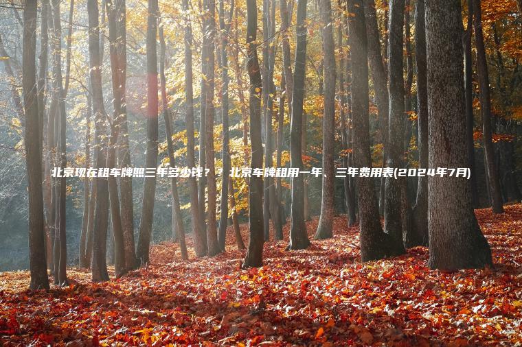 北京现在租车牌照三年多少钱北京车牌租用一年三年费用表2024年7月