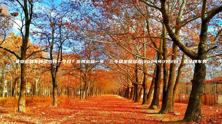 北京出租车牌多少钱一 口袋车务 北京出租车牌多少钱一个月京牌出租一年三年租金是多少2024年7月2日选金牌车务