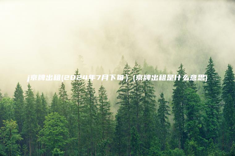j京牌出租2024 口袋车务 j京牌出租2024年7月下旬京牌出租是什么意思