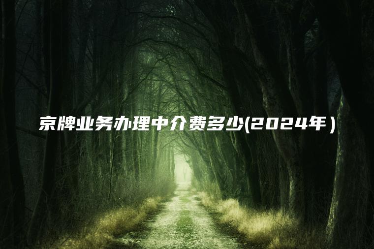 京牌业务办理中介费多 口袋车务 京牌业务办理中介费多少2024年