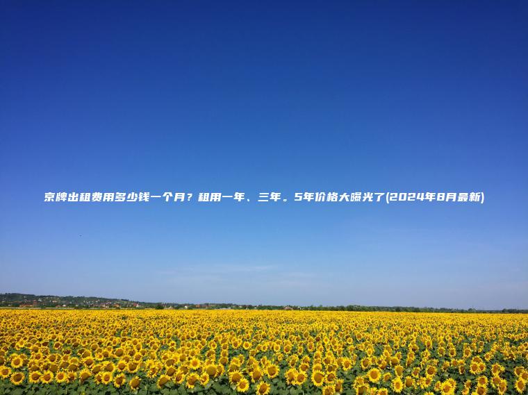 京牌出租费用多少钱一 口袋车务 京牌出租费用多少钱一个月租用一年三年5年价格大曝光了2024年8月最新