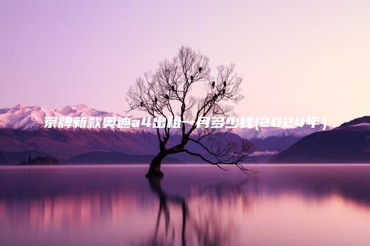 京牌新款奥迪a4出租 口袋车务 京牌新款奥迪a4出租一月多少钱2024年