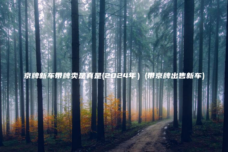 京牌新车带牌卖是真是 口袋车务 京牌新车带牌卖是真是2024年带京牌出售新车