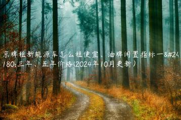 京牌租新能源车怎么租便宜油牌闲置指标一年三年五年价格2024年10月更新