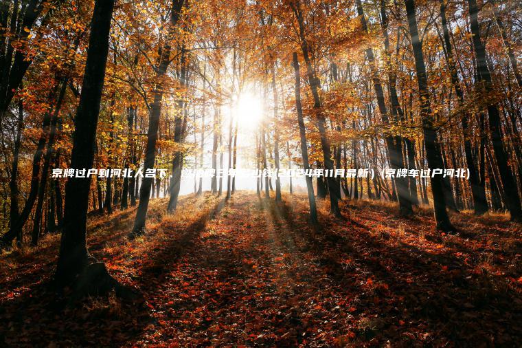 京牌过户到河北人名下 口袋车务 京牌过户到河北人名下燃油牌三年多少钱2024年11月最新京牌车过户河北