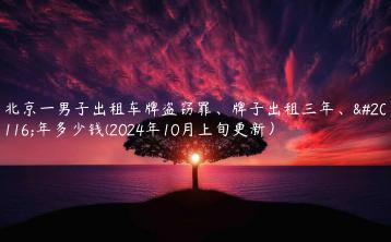 北京一男子出租车牌盗窃罪牌子出租三年五年多少钱2024年10月上旬更新
