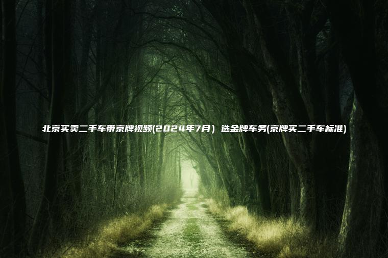 北京买卖二手车带京牌视频2024年7月选金牌车务京牌买二手车标准