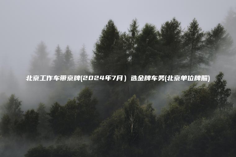 北京工作车带京牌2024年7月选金牌车务北京单位牌照