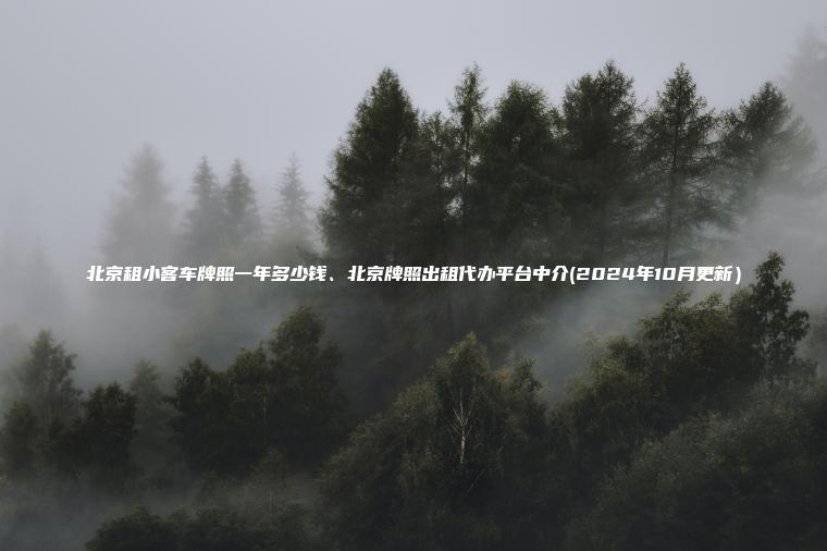 北京租小客车牌照一年多少钱北京牌照出租代办平台中介2024年10月更新