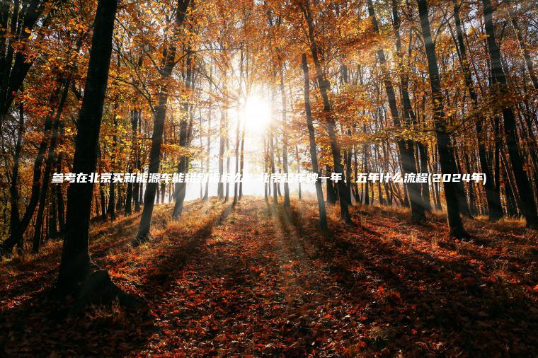 参考在北京买新能源车 口袋车务 参考在北京买新能源车能租到指标么北京租车牌一年五年什么流程2024年