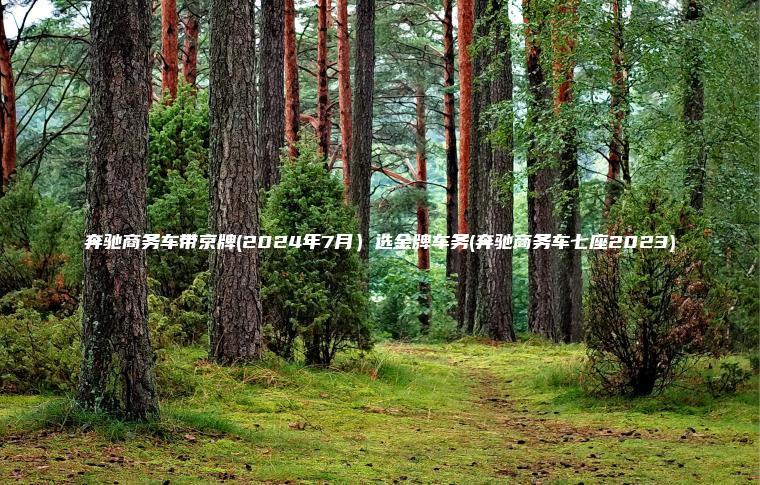 奔驰商务车带京牌2 口袋车务 奔驰商务车带京牌2024年7月选金牌车务奔驰商务车七座2023