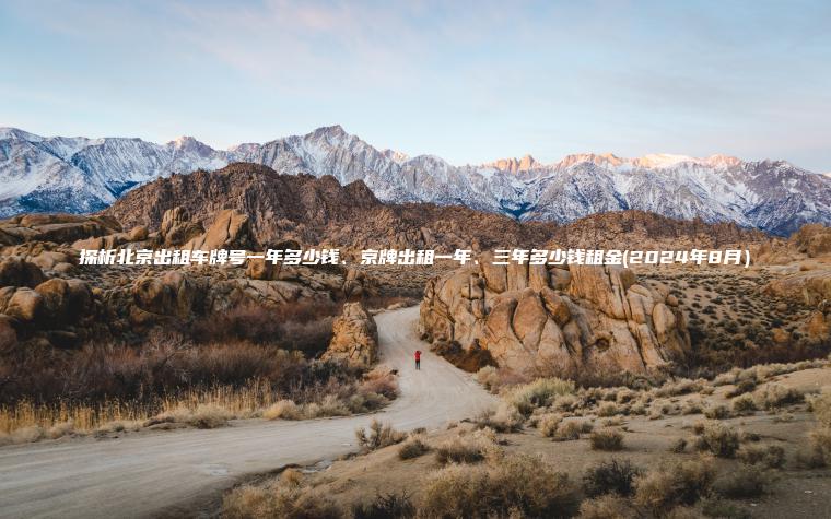 探析北京出租车牌号一 口袋车务 探析北京出租车牌号一年多少钱京牌出租一年三年多少钱租金2024年8月