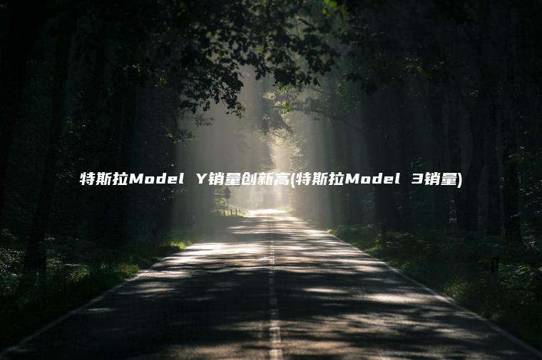特斯拉Model Y 口袋车务 特斯拉Model Y销量创新高特斯拉Model 3销量