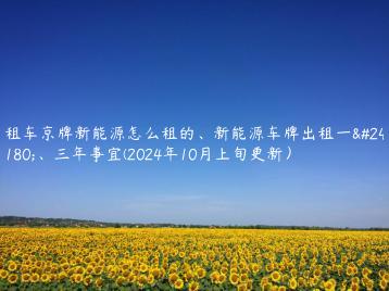 租车京牌新能源怎么租的新能源车牌出租一年三年事宜2024年10月上旬更新