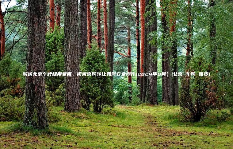 解析北京车牌租用费用 口袋车务 解析北京车牌租用费用闲置京牌转让如何安全操作2024年8月北京 车牌 租赁