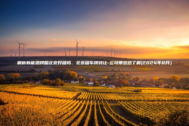 解析新能源牌照北京好 口袋车务 解析新能源牌照北京好租吗北京租车牌转让 公司带您您了解2024年8月
