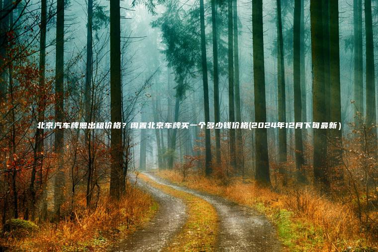 北京汽车牌照出租价格?闲置北京车牌买一个多少钱价格(2024年12月下旬最新) 北京汽车牌照出租价格?闲置北京车牌买一个多少钱价格(2024年12月下旬最新)