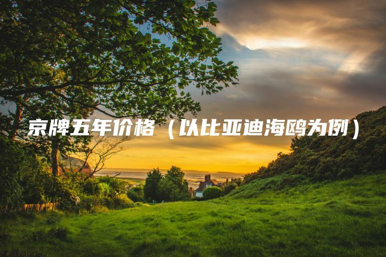 京牌五年价格以比亚迪海鸥为例