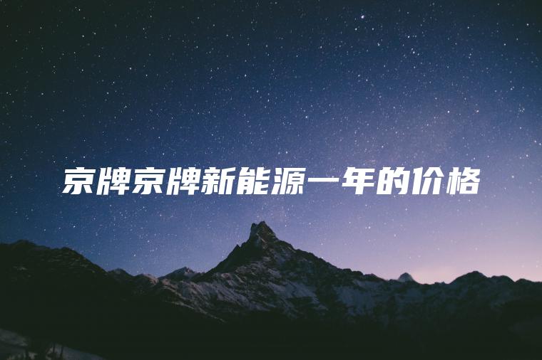 京牌京牌新能源一年的价格