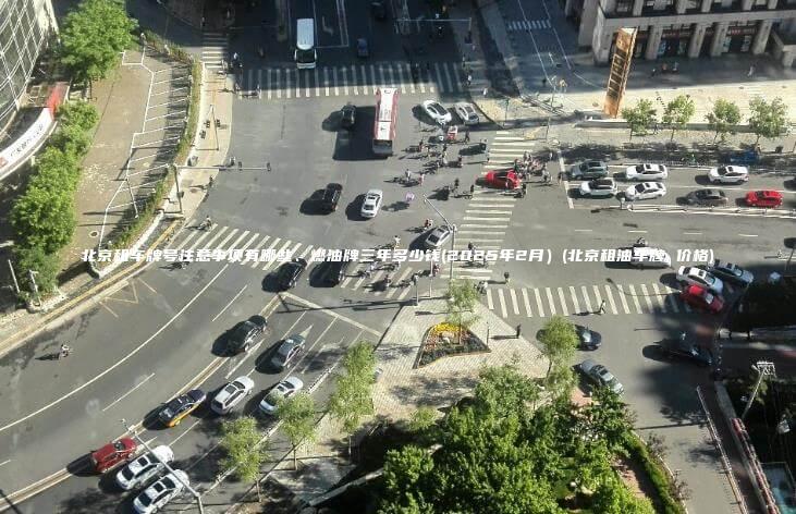 北京租车牌号注意事项有哪些燃油牌三年多少钱2025年2月北京租油车牌 价格