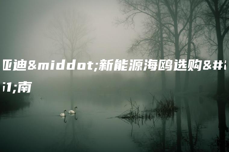 比亚迪新能源海鸥选购指南