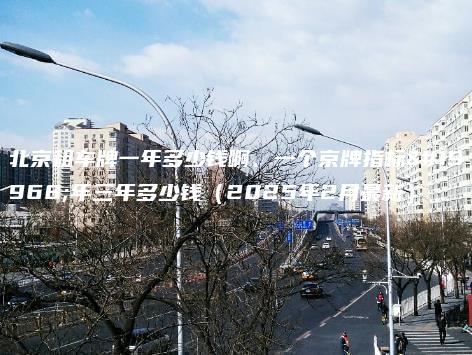 北京租车牌一年多少钱啊一个京牌指标一年三年多少钱2025年2月最新