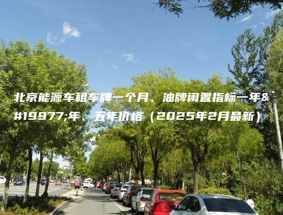 北京能源车租车牌一个月油牌闲置指标一年三年五年价格2025年2月最新