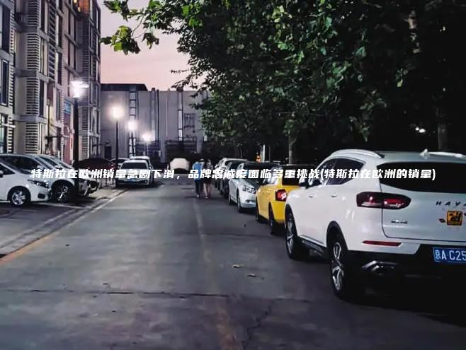 特斯拉在欧洲销量急剧下滑品牌忠诚度面临多重挑战特斯拉在欧洲的销量
