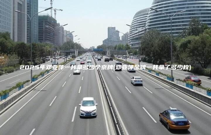 2025年邓亚萍一共拿多少个京牌邓亚萍金牌一共拿了多少枚