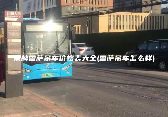 京牌雷萨吊车价格表大全雷萨吊车怎么样