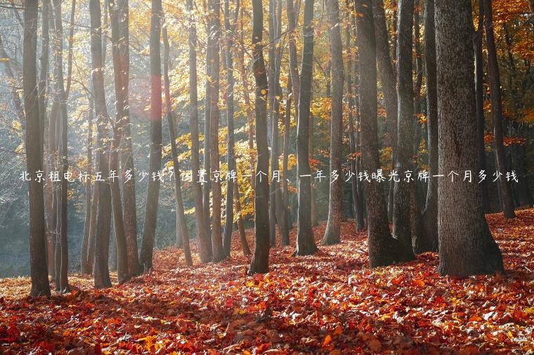 北京租电标五年多少钱闲置京牌一个月一年多少钱曝光京牌一个月多少钱
