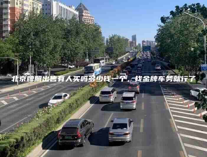 北京牌照出售有人买吗多少钱一个找金牌车务就行了