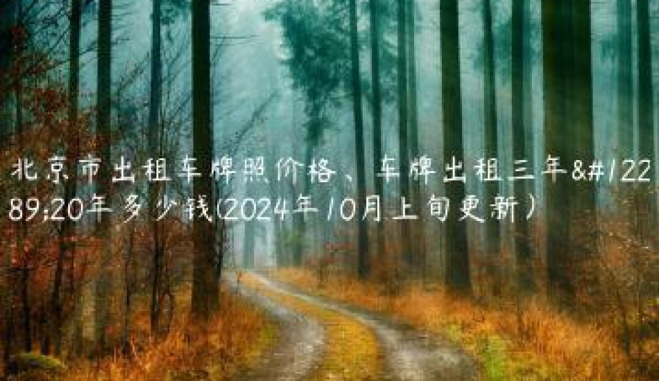 北京市出租车牌照价格、车牌出租三年、20年多少钱(2024年10月上旬更新）