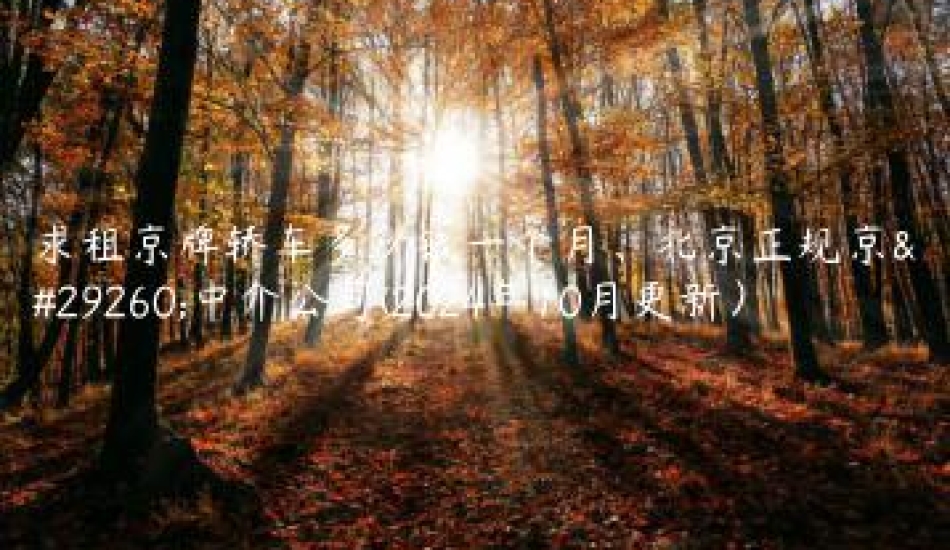 求租京牌轿车多少钱一 口袋车务 求租京牌轿车多少钱一个月北京正规京牌中介公司2024年10月更新