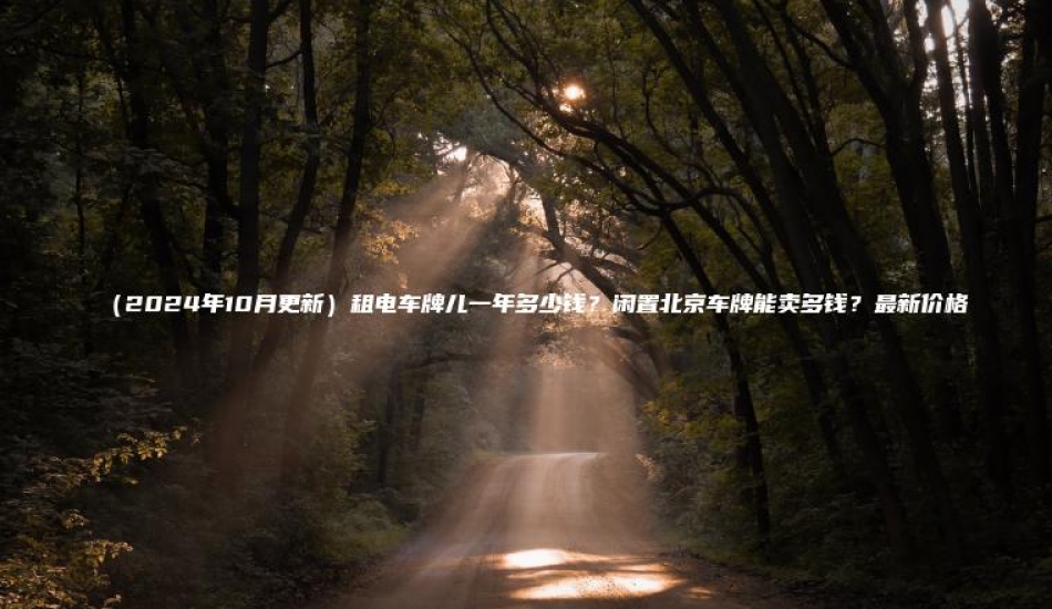 2024年10月更新租电车牌儿一年多少钱闲置北京车牌能卖多钱最新价格