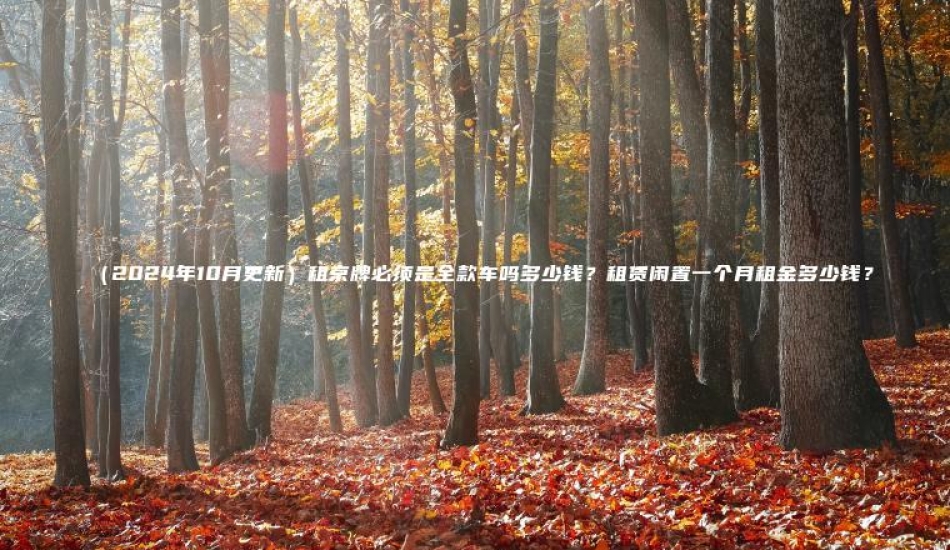 2024年10月更新租京牌必须是全款车吗多少钱租赁闲置一个月租金多少钱