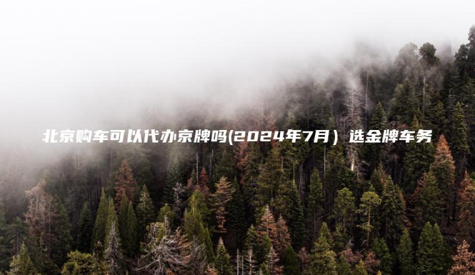 北京购车可以代办京牌吗(2024年7月)选金牌车务