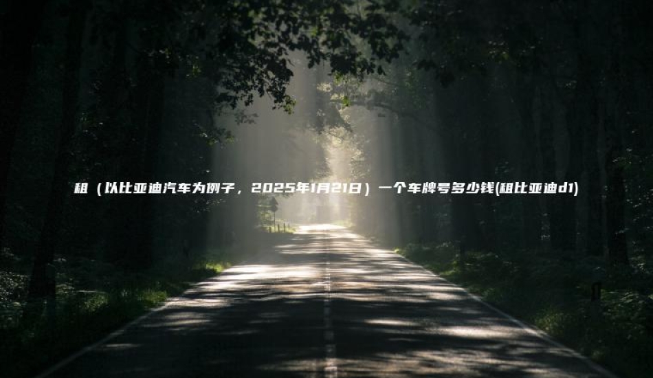 租（以比亚迪汽车为例子，2025年1月21日）一个车牌号多少钱(租比亚迪d1)