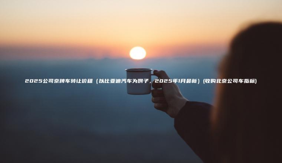 2025公司京牌车转让价租（以比亚迪汽车为例子，2025年1月最新）(收购北京公司车指标)